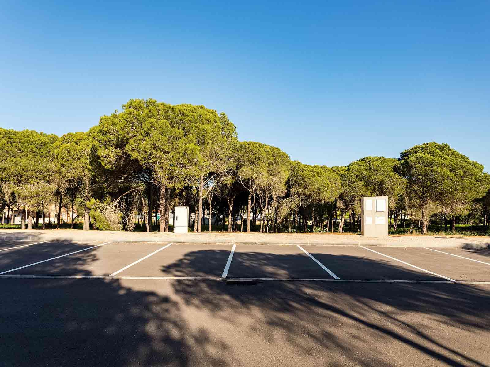 Land in Faro (69281) — photograph 5