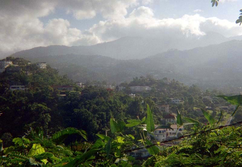 Norbrook