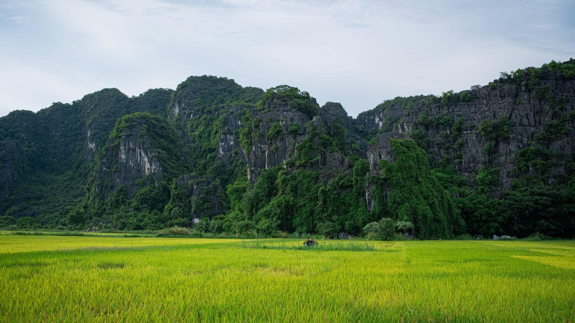 Complete Investor Guide to Vietnamese Property
