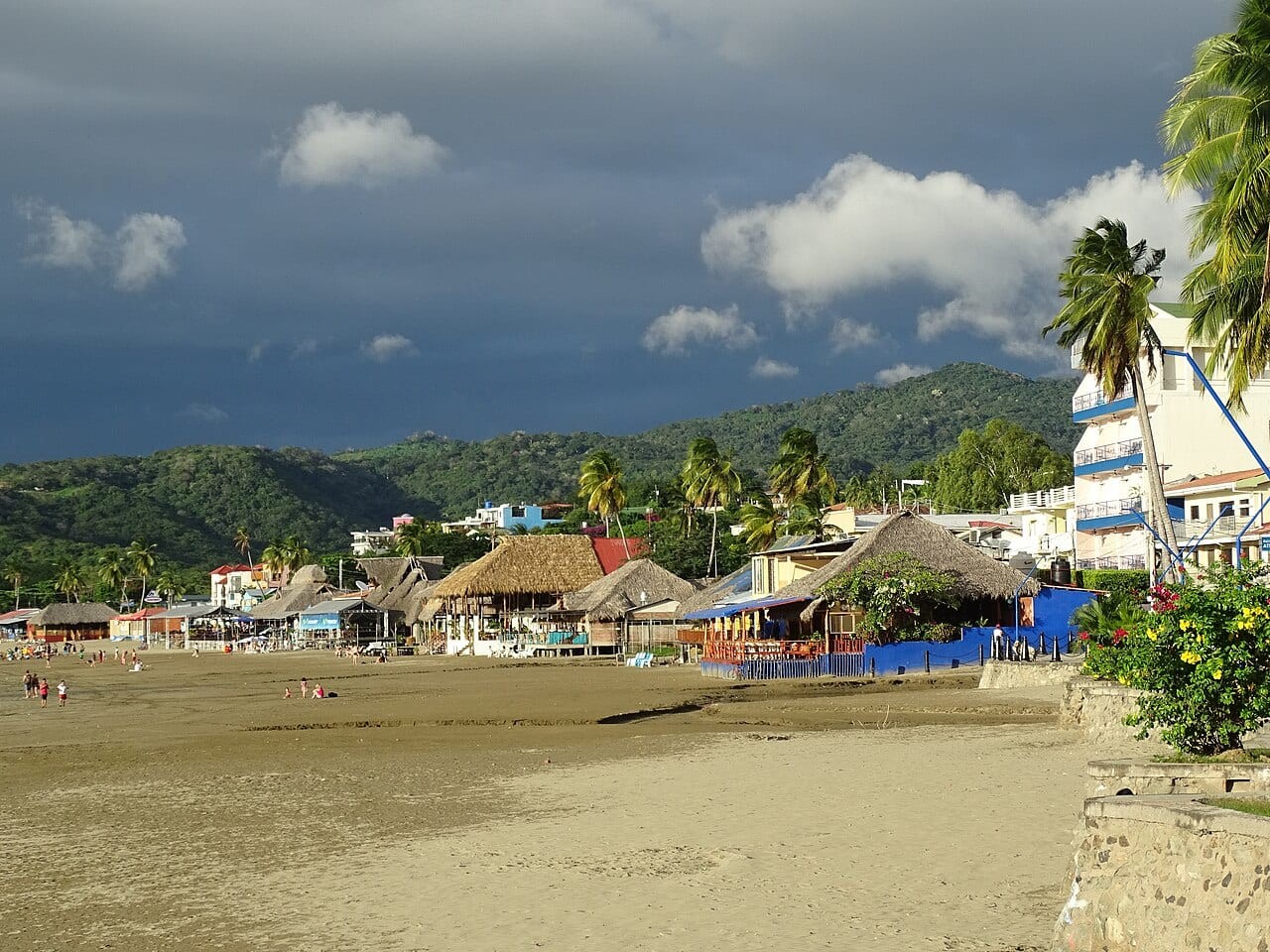 Pacific Marlin Hills